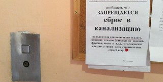 лоток