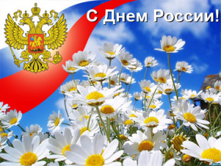  России Ромашки